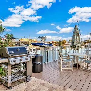 https://dolphins-cove-clearwater-beach-fl.hotelstampa.org